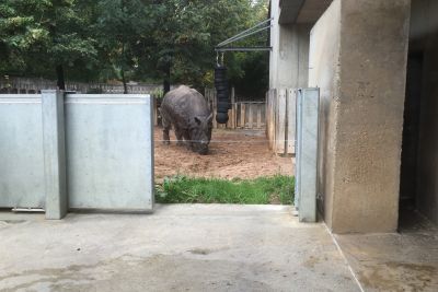 Sonderanfertigung eines Schiebetores im Zoo für die Absicherung von Tiergehegen